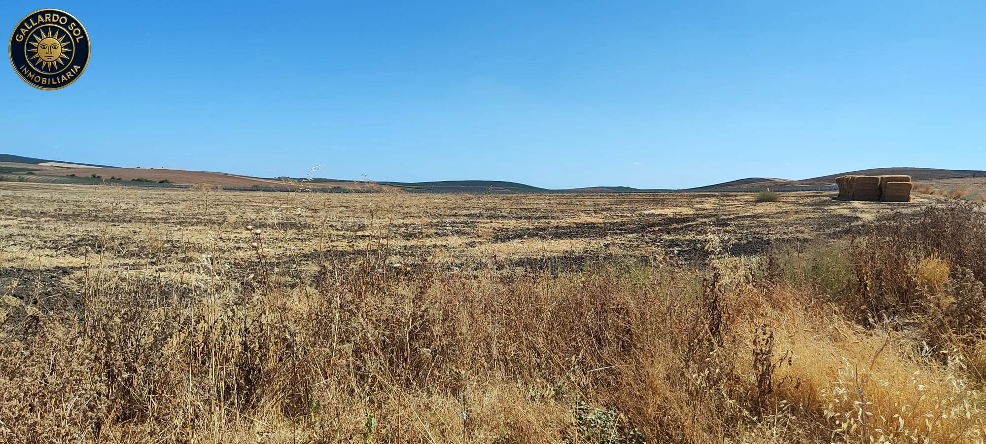 Acceso rodado al terreno