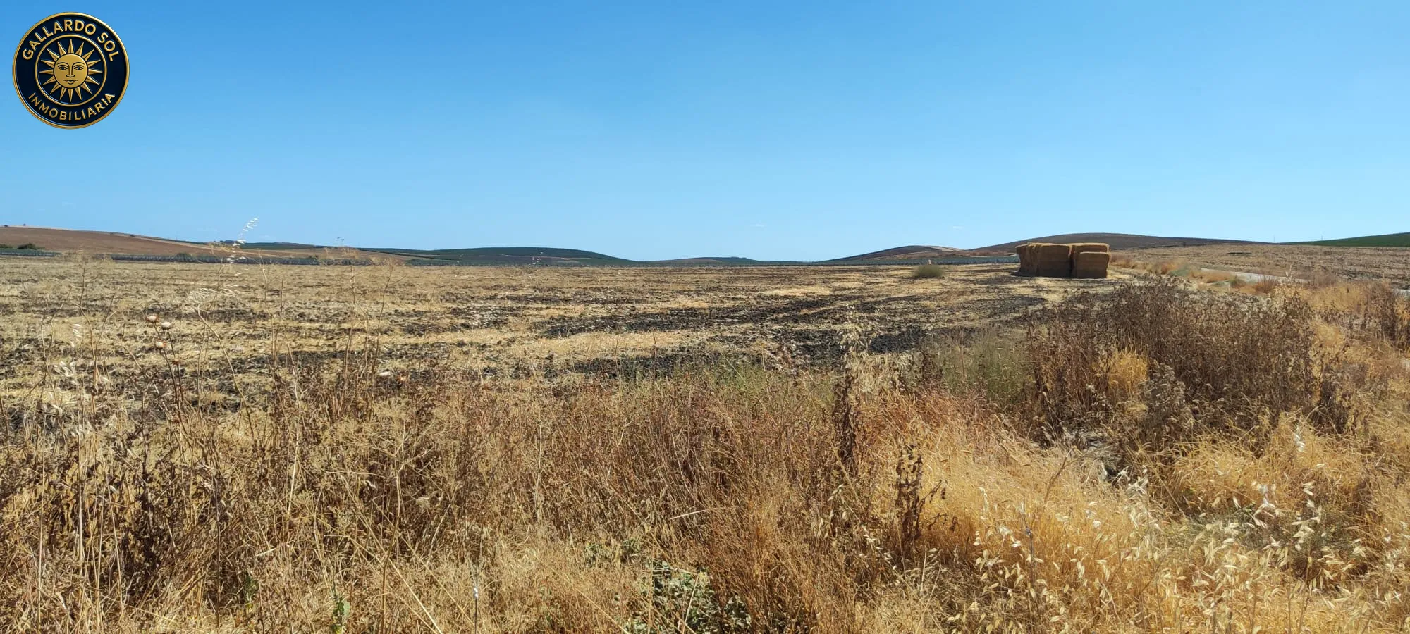 Detalle de la topografía semi-llana