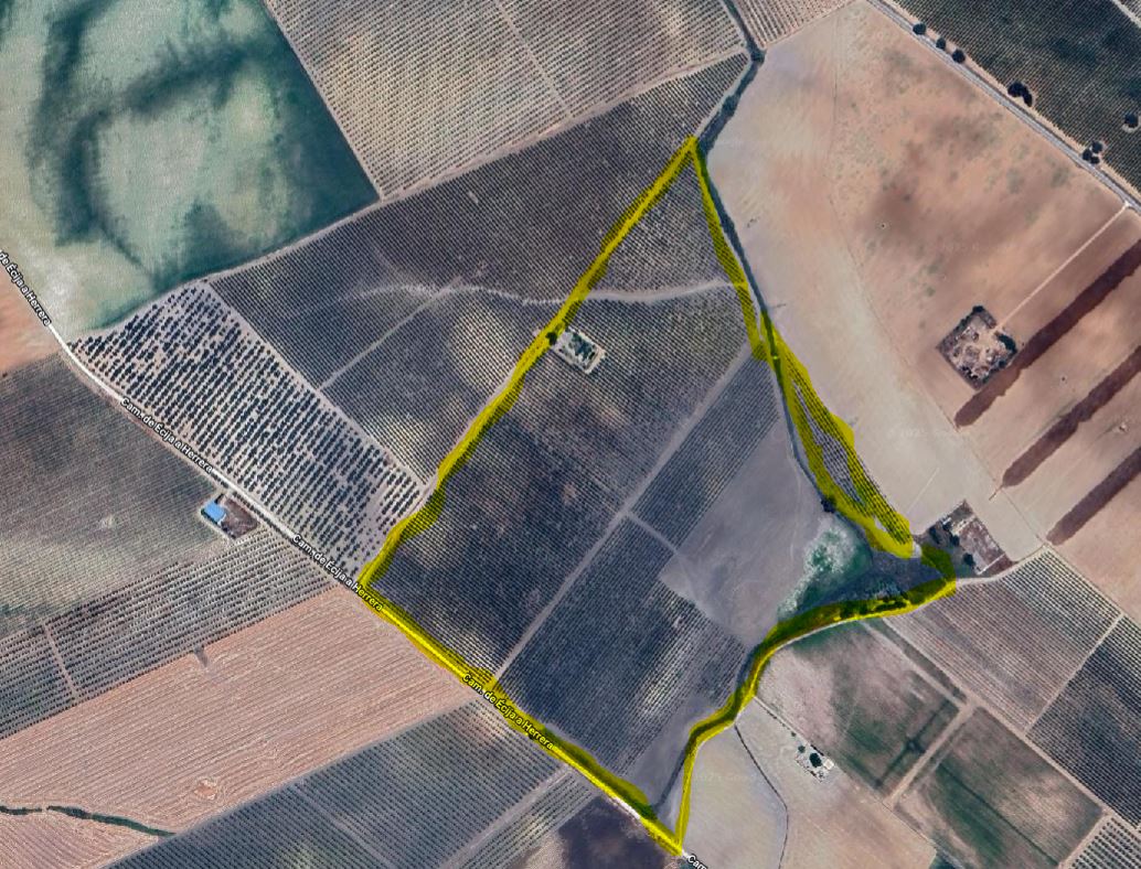 Terreno Rural con Bosque