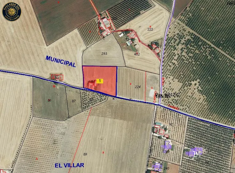 Finca con 8.139m² en Regañá, Écija