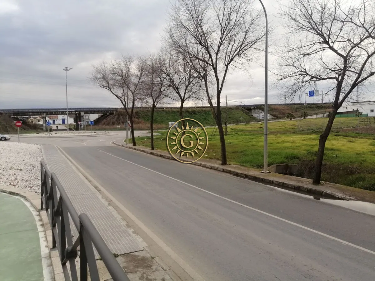 Vista aérea del solar