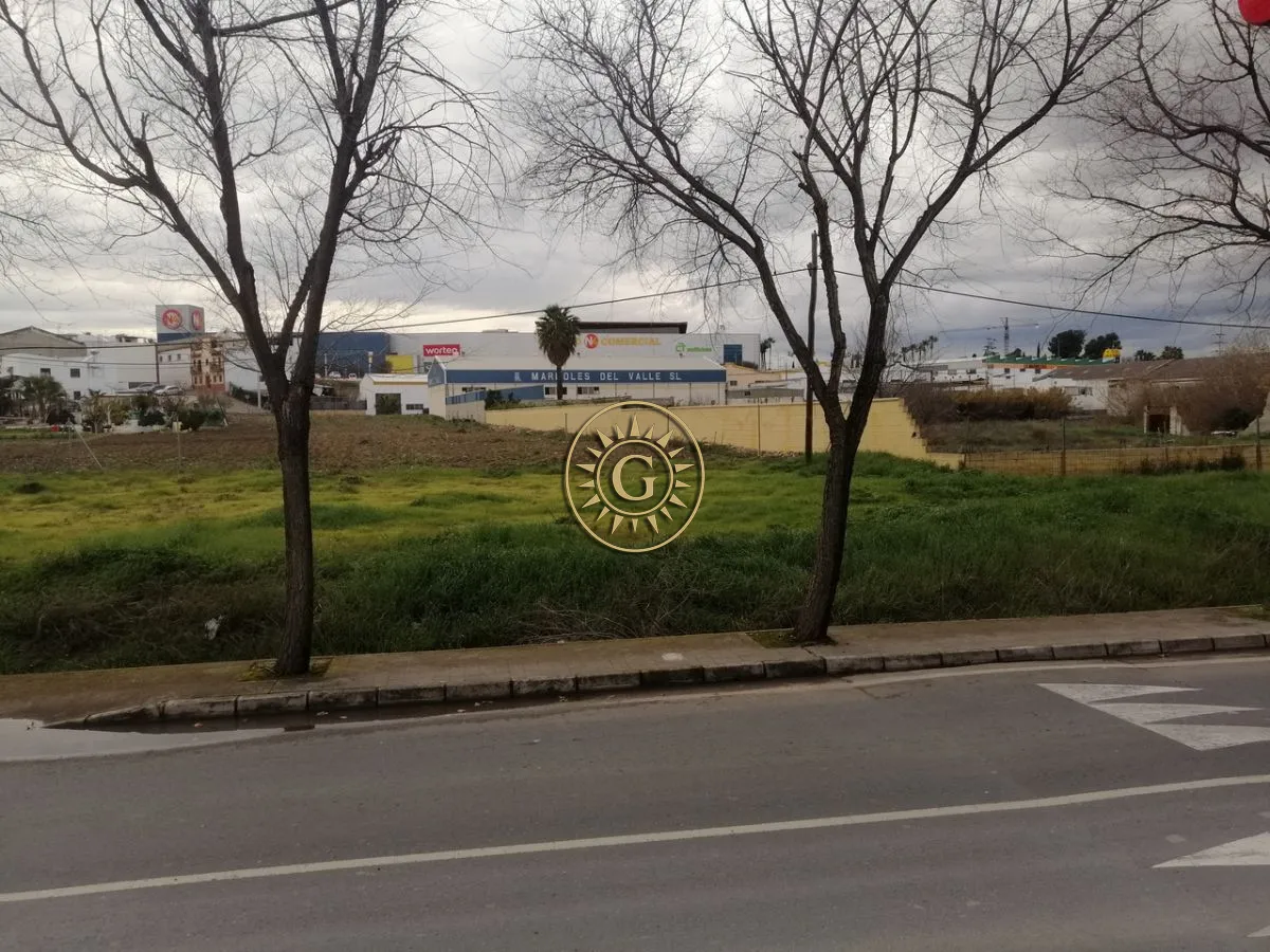 Ubicación estratégica