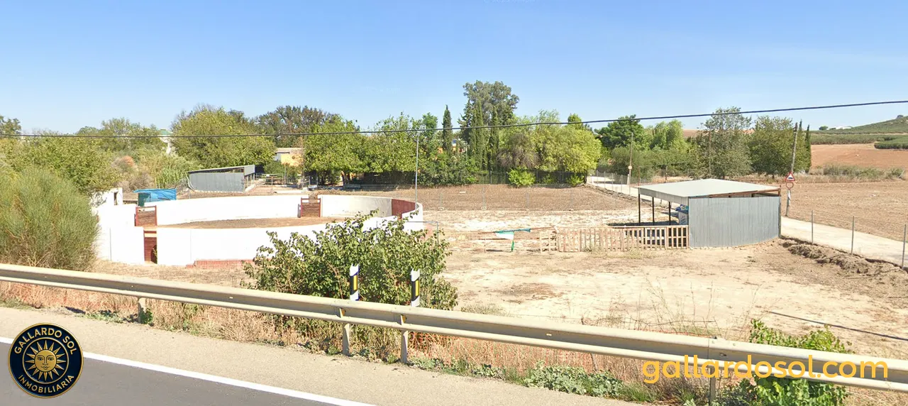 Cultivos en el terreno