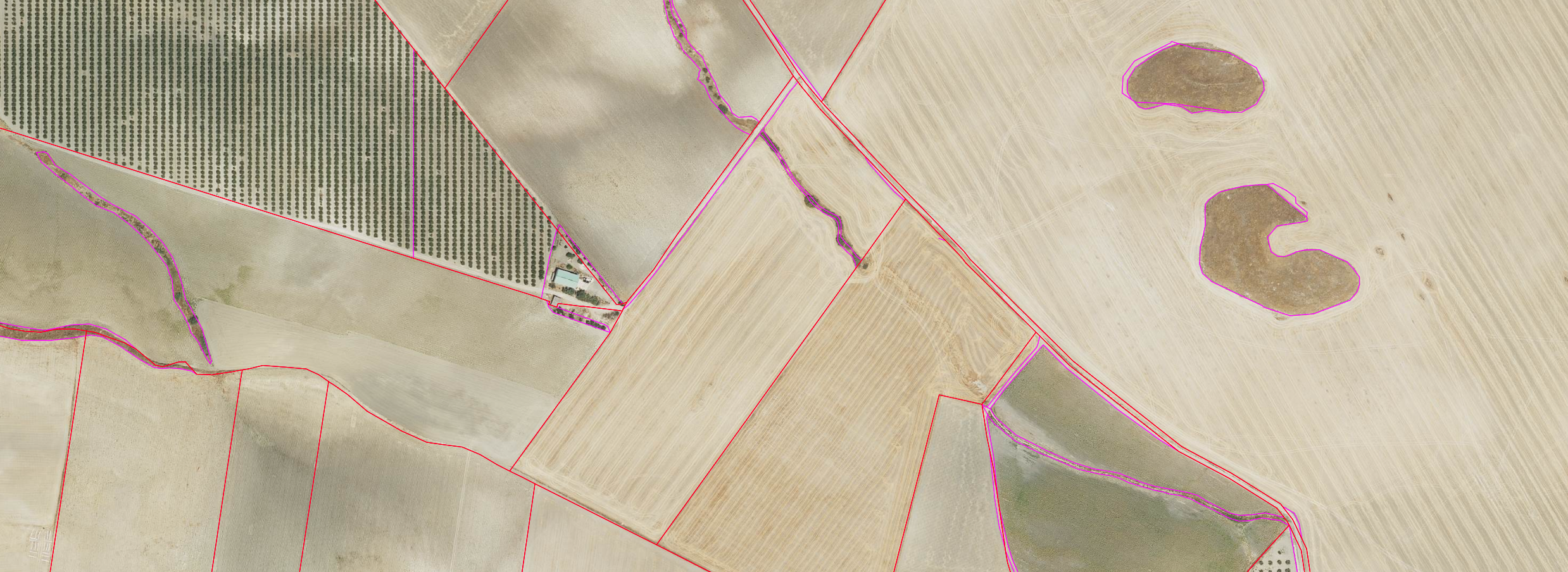 Conjunto de Parcelas Rústicas en Alcarrachela